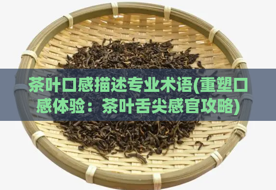 茶叶口感描述专业术语(重塑口感体验：茶叶舌尖感官攻略)