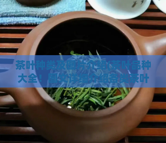 茶叶种类及图片介绍(茶叶品种大全!图文详细介绍各类茶叶)