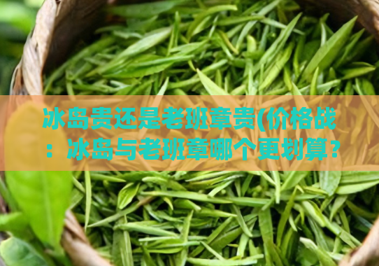 冰岛贵还是老班章贵(价格战：冰岛与老班章哪个更划算？)