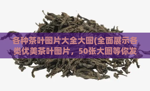 各种茶叶图片大全大图(全面展示各类优美茶叶图片，50张大图等你发掘！)