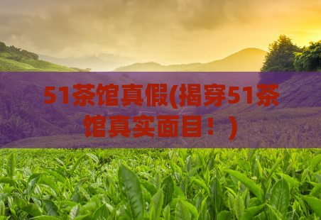 51茶馆真假(揭穿51茶馆真实面目!)