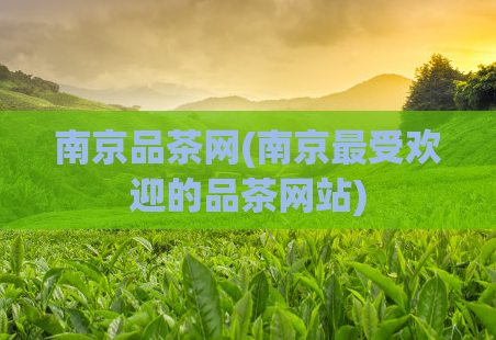南京品茶网(南京最受欢迎的品茶网站)