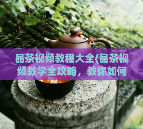 品茶视频教程大全(品茶视频教学全攻略,教你如何泡出最好喝的茶)