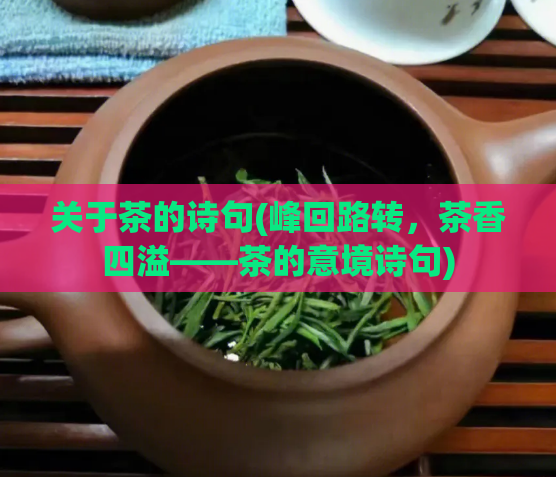 关于茶的诗句(峰回路转，茶香四溢——茶的意境诗句)