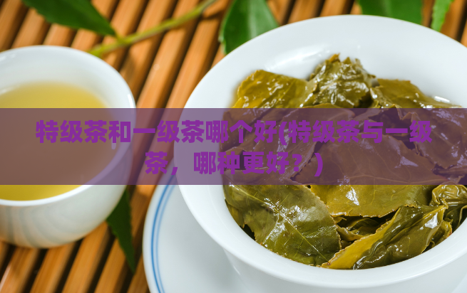 特级茶和一级茶哪个好(特级茶与一级茶，哪种更好？)