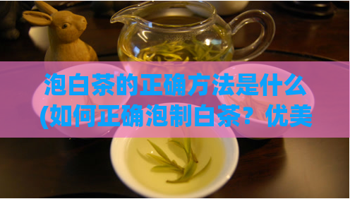 泡白茶的正确方法是什么(如何正确泡制白茶?优美品鉴从这里开始)