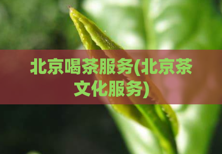 北京喝茶服务(北京茶文化服务)