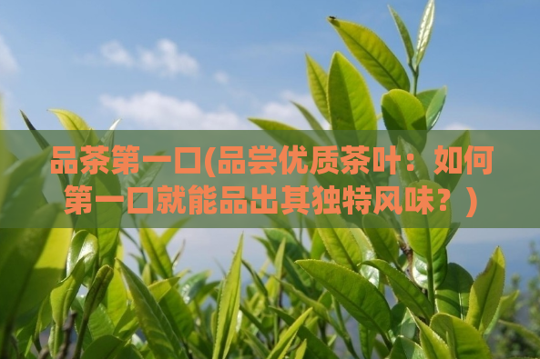 品茶第一口(品尝优质茶叶：如何第一口就能品出其独特风味？)