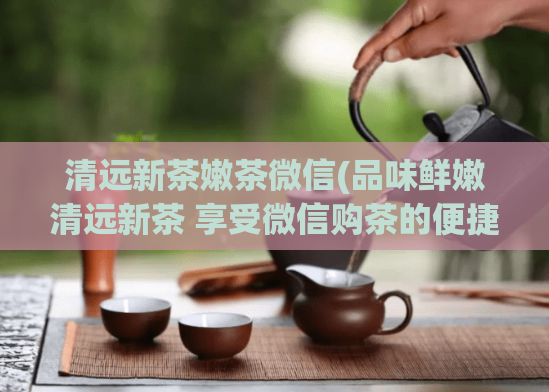清远新茶嫩茶微信(品味鲜嫩清远新茶 享受微信购茶的便捷)