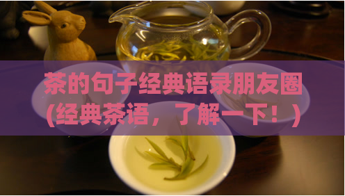 茶的句子经典语录朋友圈(经典茶语，了解一下！)