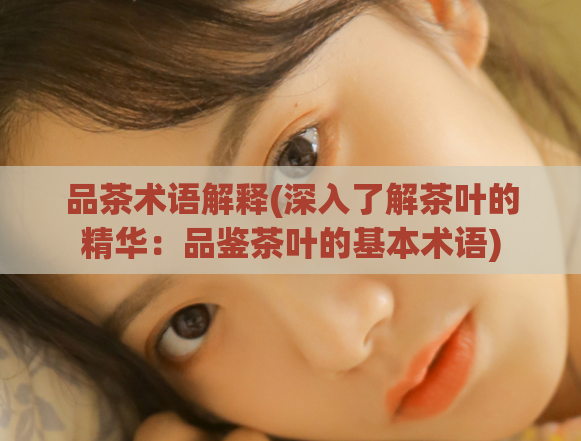 品茶术语解释(深入了解茶叶的精华：品鉴茶叶的基本术语)