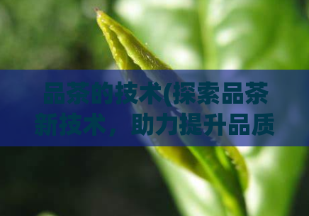 品茶的技术(探索品茶新技术,助力提升品质)