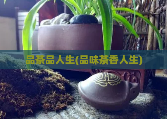 品茶品人生(品味茶香人生)