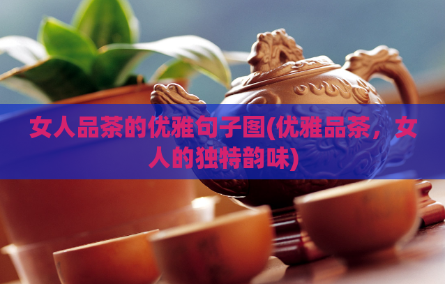女人品茶的优雅句子图(优雅品茶，女人的独特韵味)