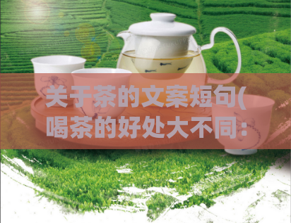 关于茶的文案短句(喝茶的好处大不同：茶的不同种类与功效)