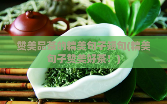 赞美品茶的精美句子短句(精美句子赞美好茶！)