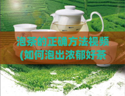 泡茶的正确方法视频(如何泡出浓郁好茶？教你4个步骤【实用技巧】)