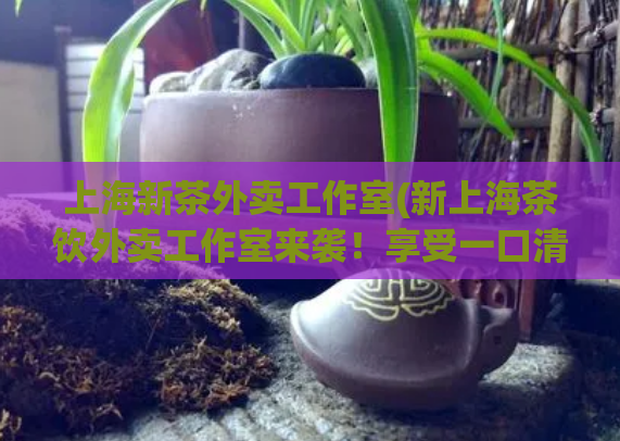 上海新茶外卖工作室(新上海茶饮外卖工作室来袭！享受一口清新好茶，一键送到家！)