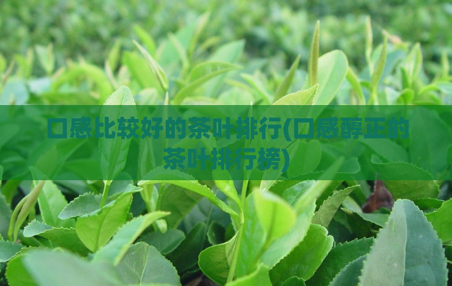 口感比较好的茶叶排行(口感醇正的茶叶排行榜)