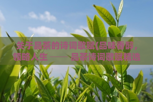 关于品茶的诗词歌赋(品味香醇，领略人生 ── 品茶诗词歌赋精选)