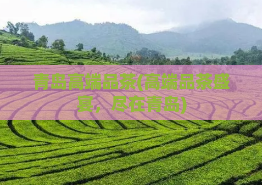 青岛高端品茶(高端品茶盛宴，尽在青岛)
