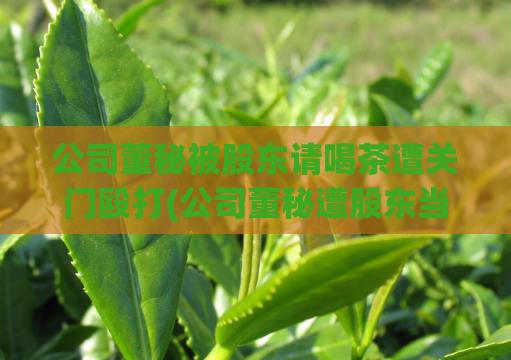 公司董秘被股东请喝茶遭关门殴打(公司董秘遭股东当面质问并遭暴力对待)