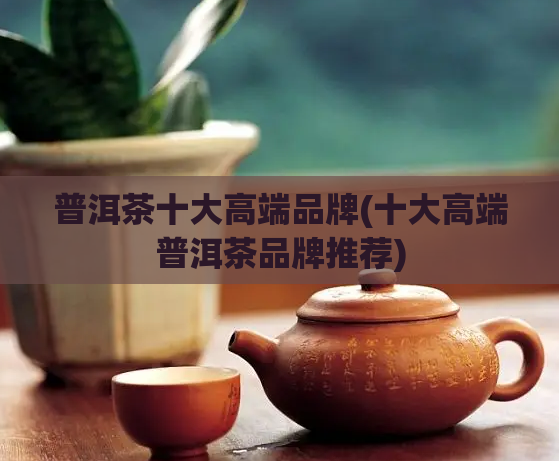 普洱茶十大高端品牌(十大高端普洱茶品牌推荐)