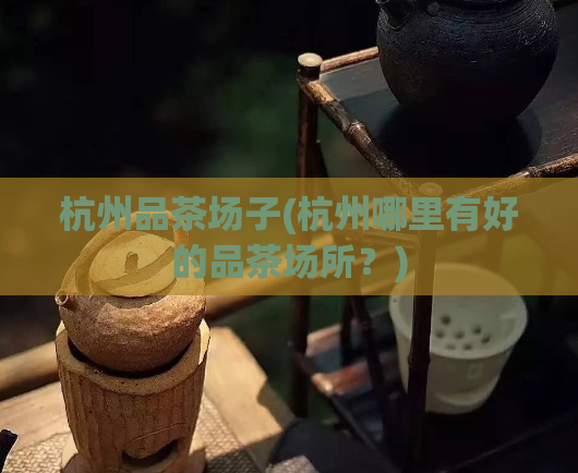杭州品茶场子(杭州哪里有好的品茶场所？)
