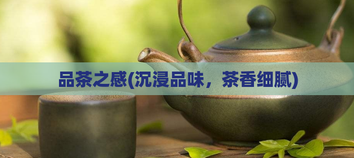 品茶之感(沉浸品味,茶香细腻)
