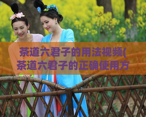 茶道六君子的用法视频(茶道六君子的正确使用方法)