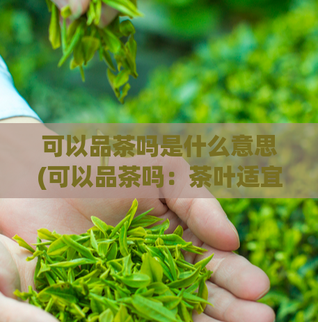 可以品茶吗是什么意思(可以品茶吗：茶叶适宜人群及注意事项)