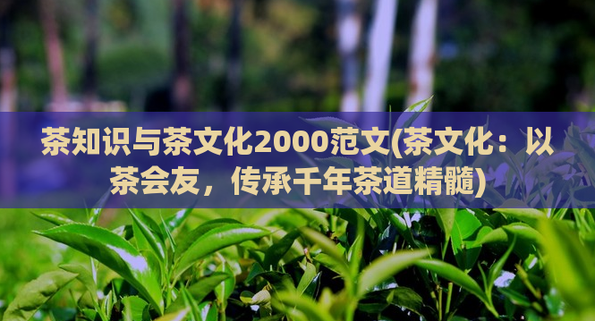 茶知识与茶文化2000范文(茶文化：以茶会友，传承千年茶道精髓)
