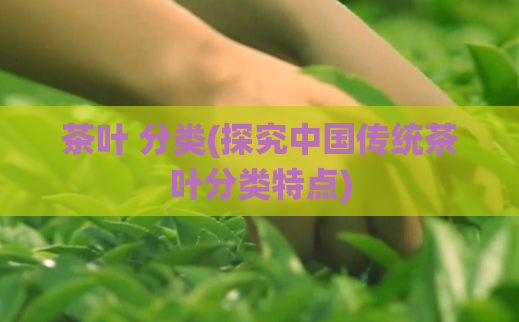 茶叶 分类(探究中国传统茶叶分类特点)