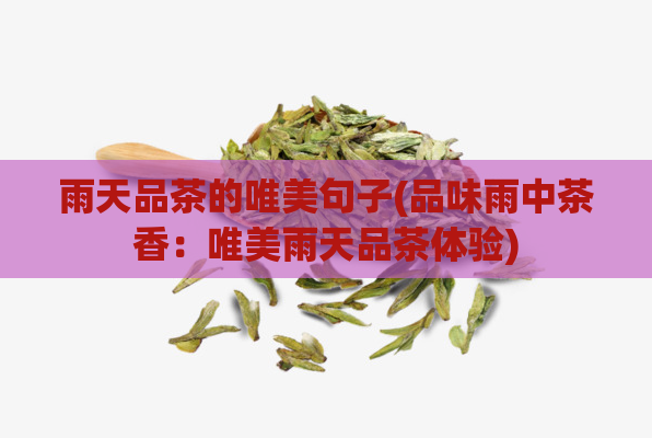 雨天品茶的唯美句子(品味雨中茶香：唯美雨天品茶体验)