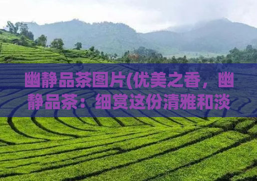 幽静品茶图片(优美之香，幽静品茶：细赏这份清雅和淡淡芳香)
