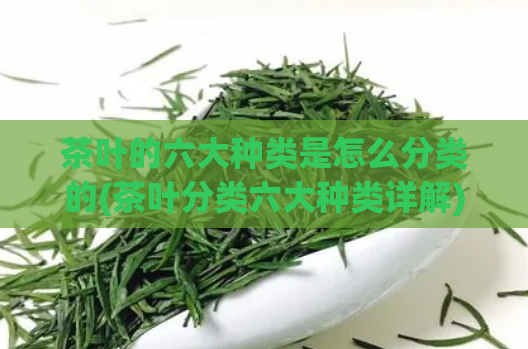 茶叶的六大种类是怎么分类的(茶叶分类六大种类详解)