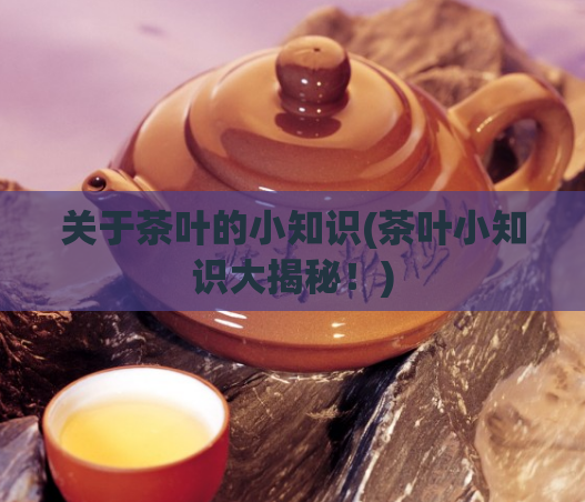 关于茶叶的小知识(茶叶小知识大揭秘！)