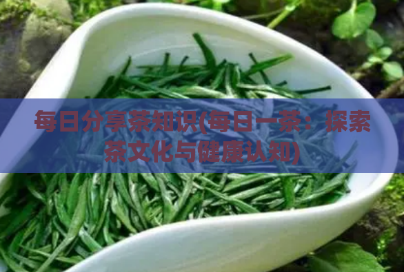 每日分享茶知识(每日一茶：探索茶文化与健康认知)