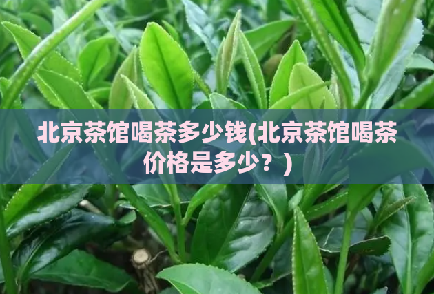北京茶馆喝茶多少钱(北京茶馆喝茶价格是多少？)