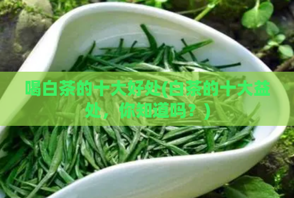喝白茶的十大好处(白茶的十大益处，你知道吗？)