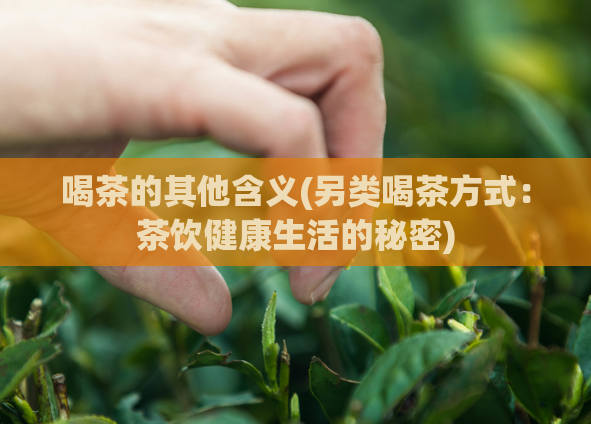 喝茶的其他含义(另类喝茶方式：茶饮健康生活的秘密)