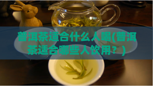 普洱茶适合什么人喝(普洱茶适合哪些人饮用?)