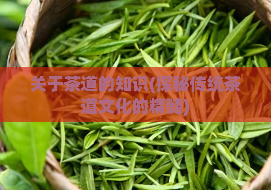 关于茶道的知识(探秘传统茶道文化的精髓)