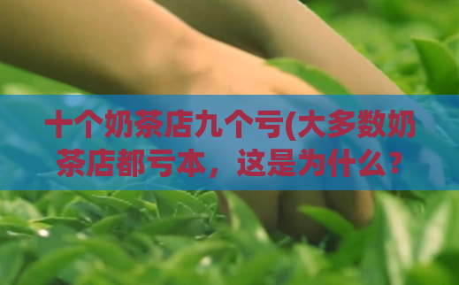 十个奶茶店九个亏(大多数奶茶店都亏本,这是为什么?)