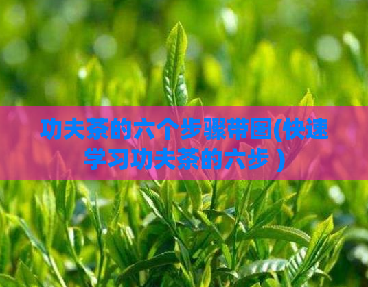 功夫茶的六个步骤带图(快速学习功夫茶的六步 )