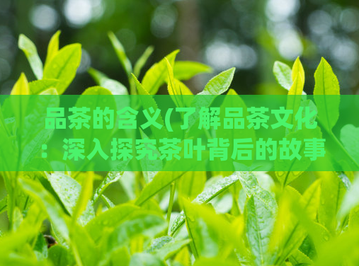 品茶的含义(了解品茶文化：深入探究茶叶背后的故事)
