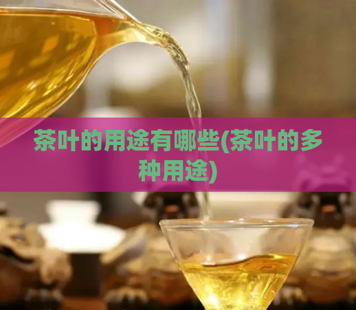茶叶的用途有哪些(茶叶的多种用途)