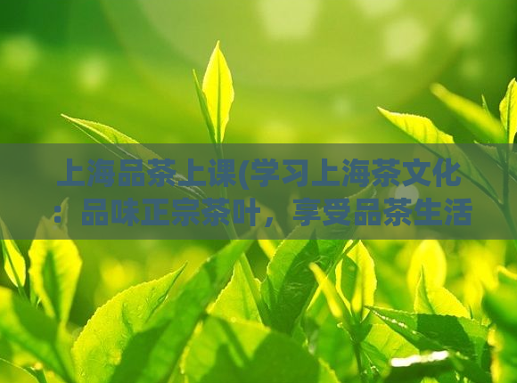 上海品茶上课(学习上海茶文化:品味正宗茶叶,享受品茶生活)