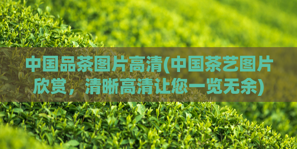 中国品茶图片高清(中国茶艺图片欣赏,清晰高清让您一览无余)