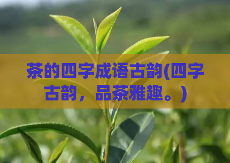 茶的四字成语古韵(四字古韵，品茶雅趣。)